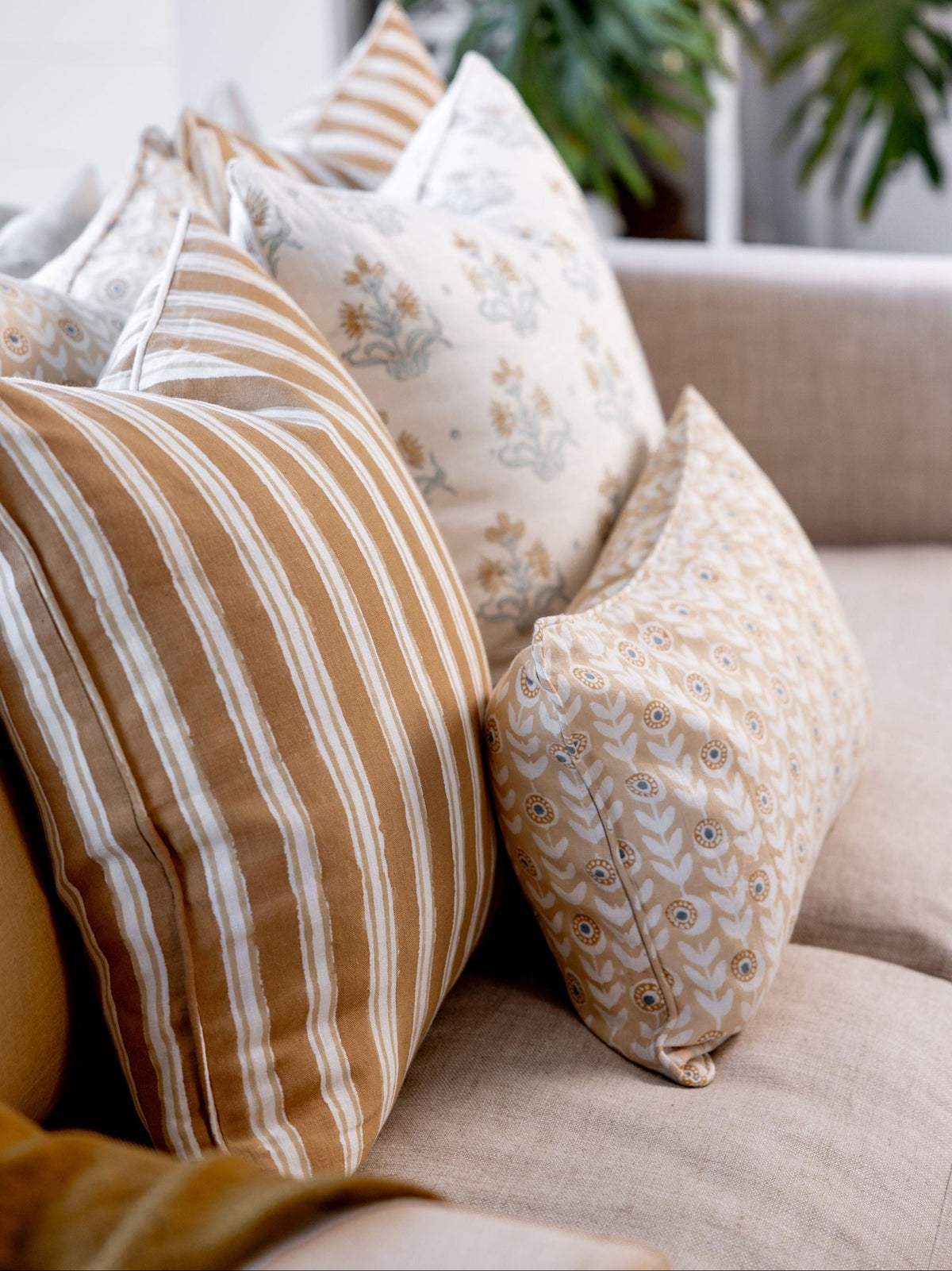 Decorative pillows on a sofa with a blurred plant in the background