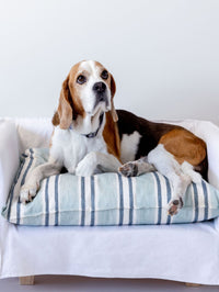 Dog Bed