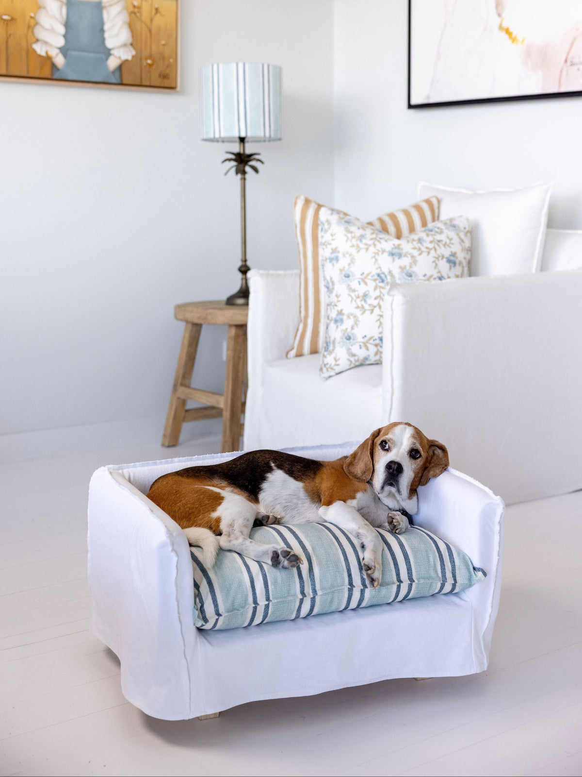 Dog Bed