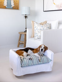 Dog Bed