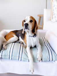 Dog Bed